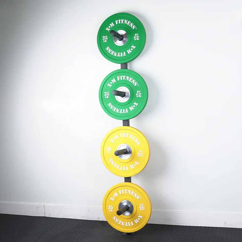 RANGEMENT DE PLAQUE OLYMPIQUE MURALE VERTICALE XM - Fitness Dépôt +