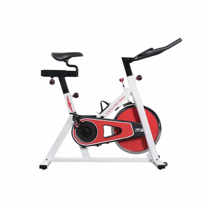 Vélo d'intérieur SF 300 - Fitness Dépôt +