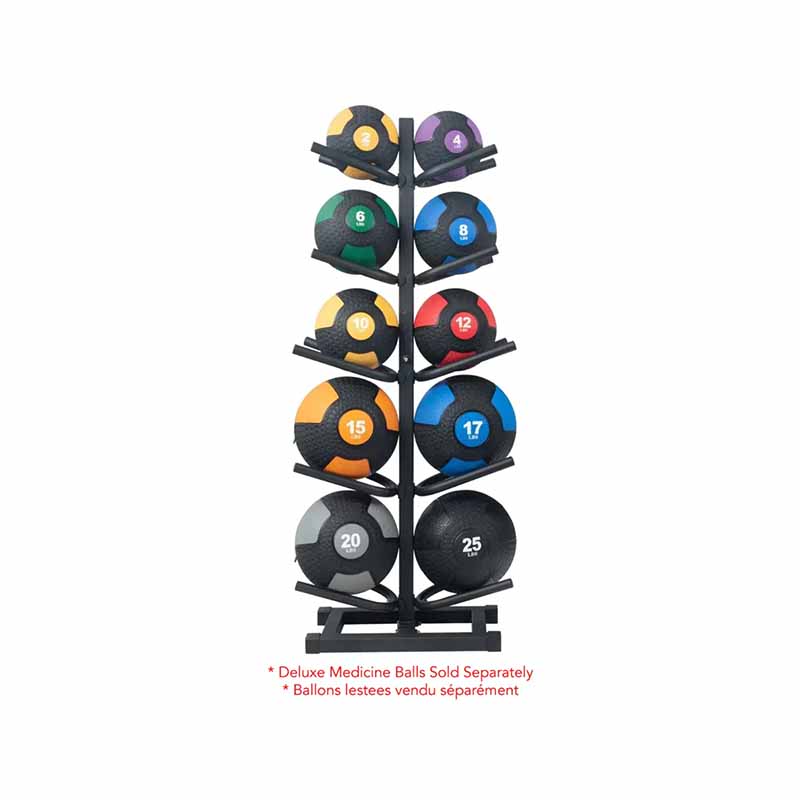 Support pour ballons médicinaux Northern Lights - Fitness Dépôt +