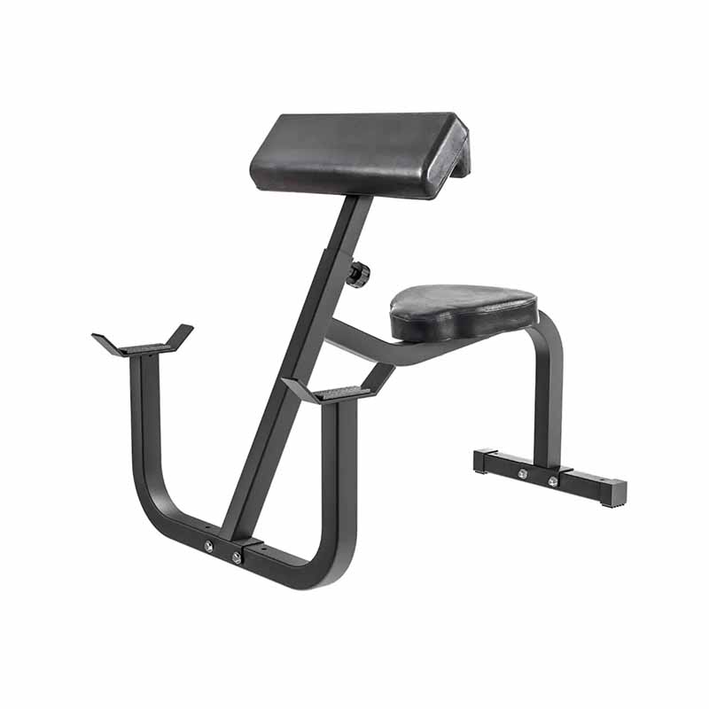 Curl du prédicateur des aurores boréales assis - Fitness Dépôt +
