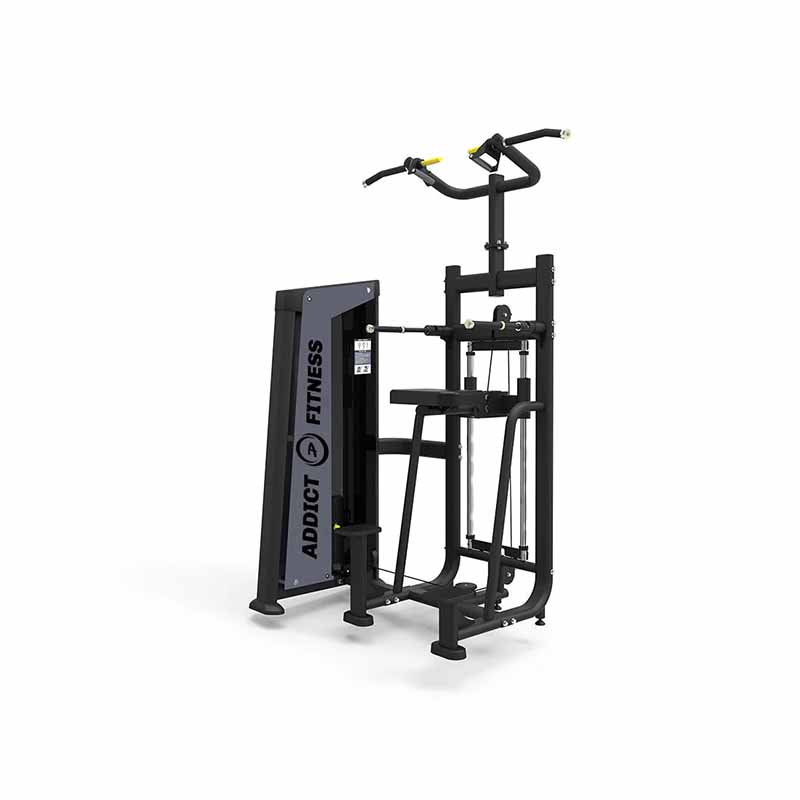 Dip/Chin Assist Selectorized Machine - Fitness Dépôt +