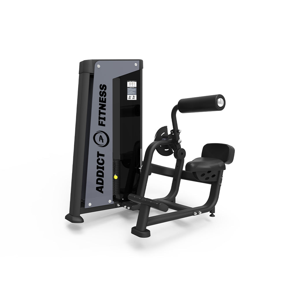 Back Extension Machine Basic Fit Back Extension Selective Machine | Fitness Depot Plus – Fitness Dépôt