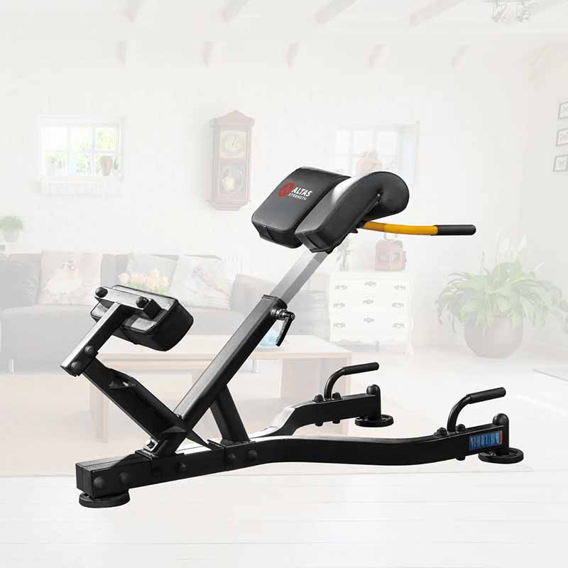 Home Gym Equipment Rome Chair Al-3037 - Fitness Dépôt +