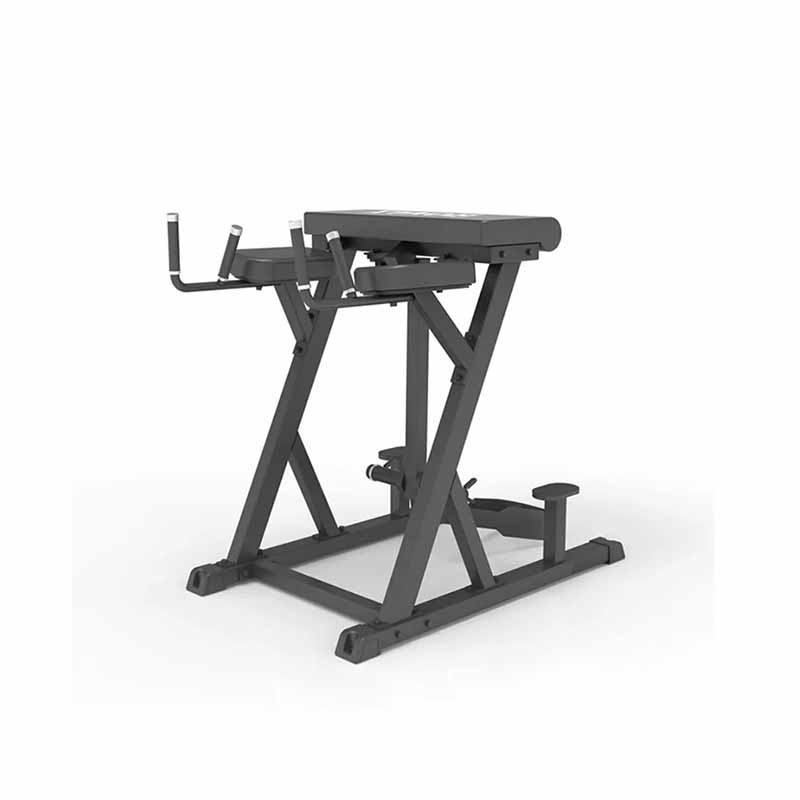 Dalweem Rhe IRONAX XC - RHE Reverse Hyperextension | Fitness Depot Plus – Fitness ...