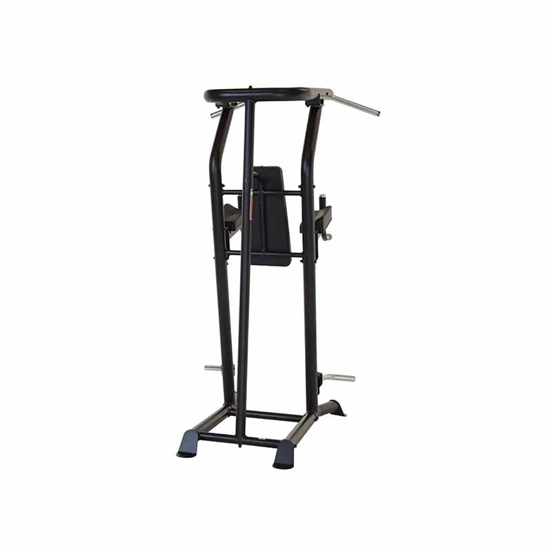 Inspire Fitness VKR Élévation verticale du genou, menton, trempette - Fitness Dépôt +