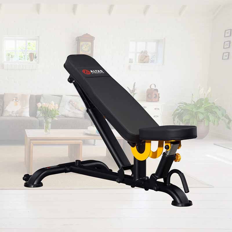 Light-Commercial Equipment Multi-Functional Bench AL-3039 - Fitness Dépôt +