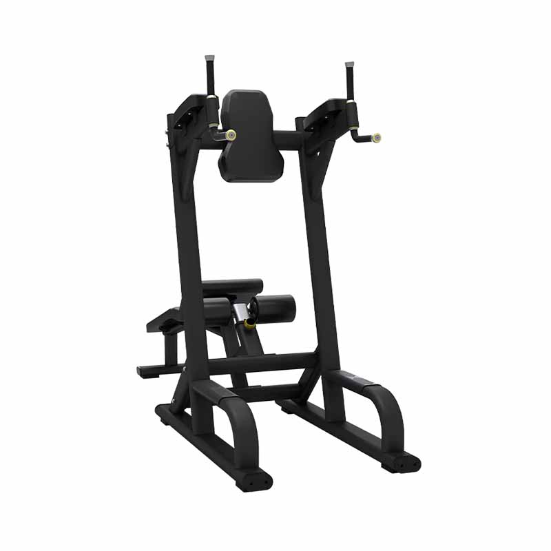 Machine Pour Abdominaux ET Genoux Levés/Plongés - Fitness Dépôt +