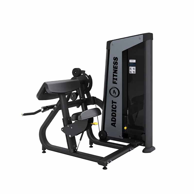 Machine Sélective Biceps/Triceps V2 - Fitness Dépôt +