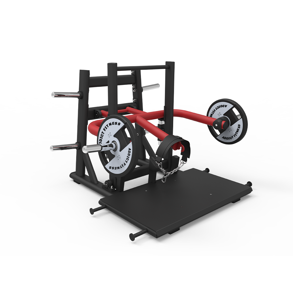 Plate Loaded  Hip Belt Squat - Fitness Dépôt +