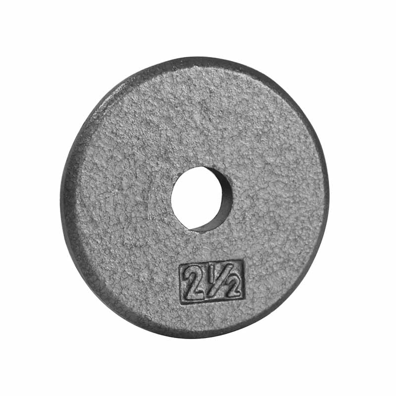 Plaque de poids en fonte régulière Northern Lights - Fitness Dépôt +