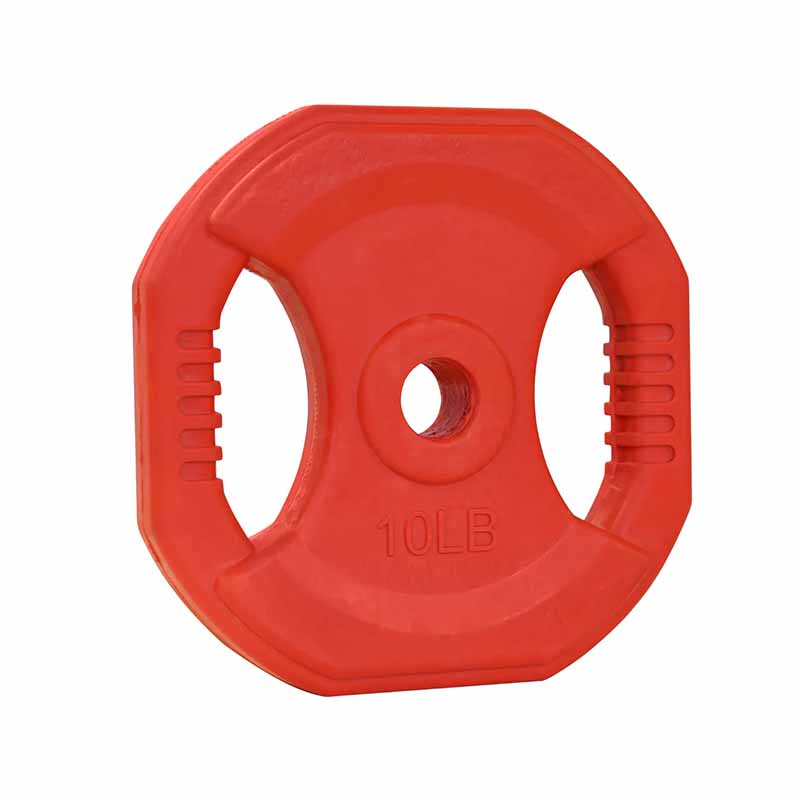 Plaque de pompe cardio Northern Lights, 10 lb - Fitness Dépôt +