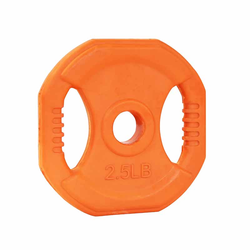 Plaque de pompe cardio Northern Lights, 2,5 lb - Fitness Dépôt +