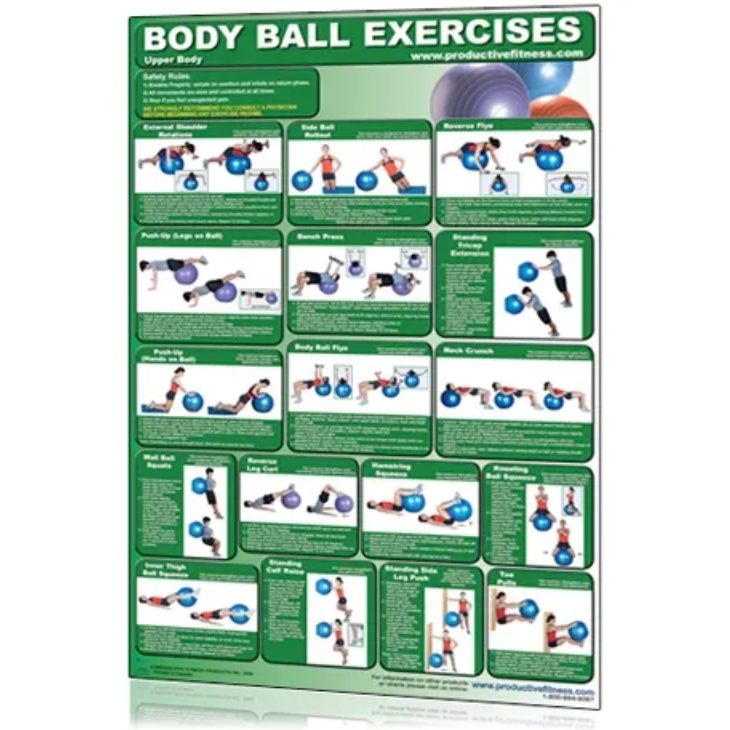 Tableau de remise en forme Productive Fitness Body Ball - Haut du corps - Fitness Dépôt +