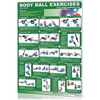 Tableau de remise en forme Productive Fitness Body Ball - Haut du corps - Fitness Dépôt +