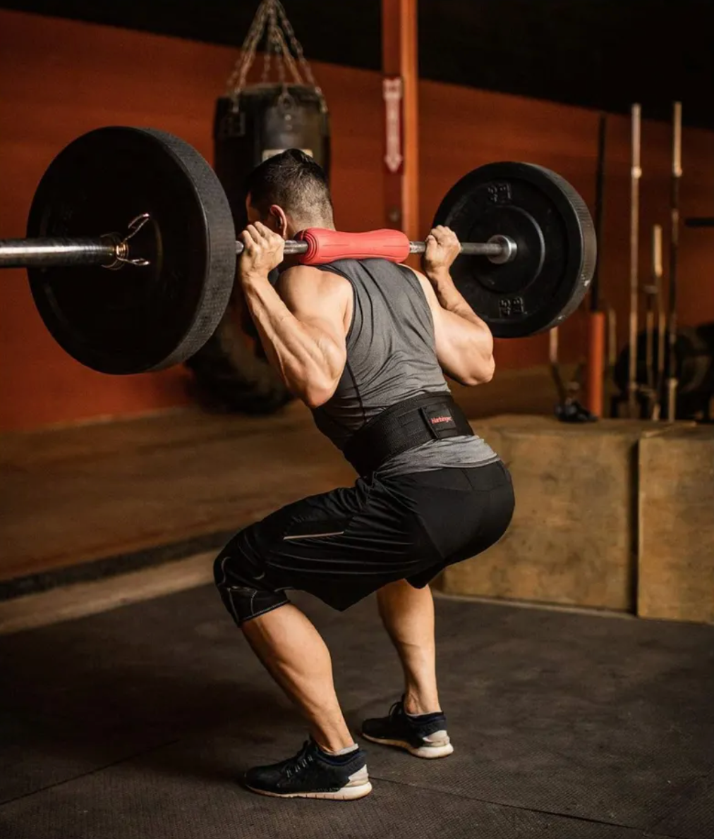 Coussin d'haltères Harbinger ErgoFit, rouge, 15" - Fitness Dépôt +