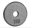 Plaque de poids en fonte régulière Northern Lights - Fitness Dépôt +