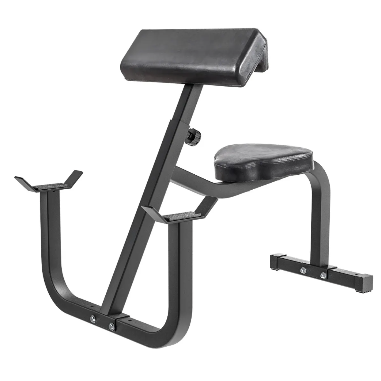Curl du prédicateur des aurores boréales assis - Fitness Dépôt +