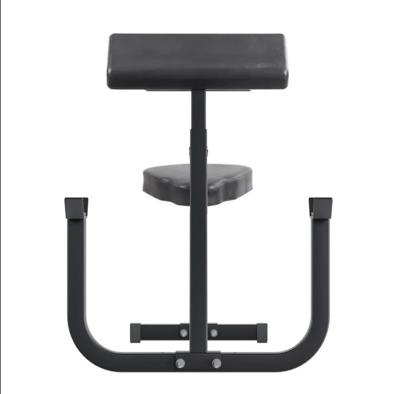 Curl du prédicateur des aurores boréales assis - Fitness Dépôt +