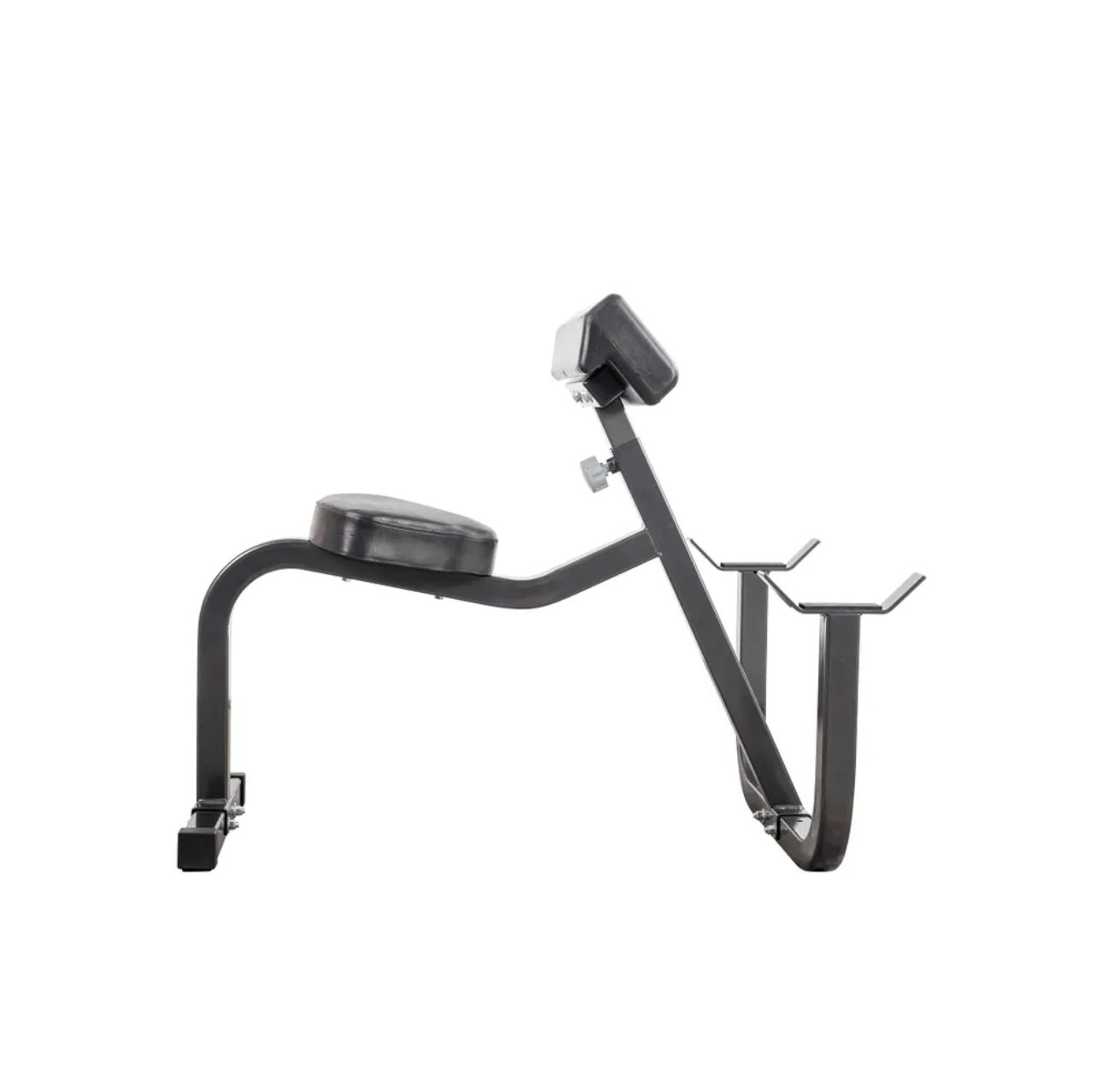 Curl du prédicateur des aurores boréales assis - Fitness Dépôt +