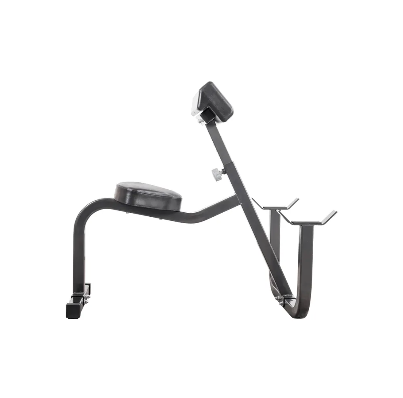 Curl du prédicateur des aurores boréales assis - Fitness Dépôt +