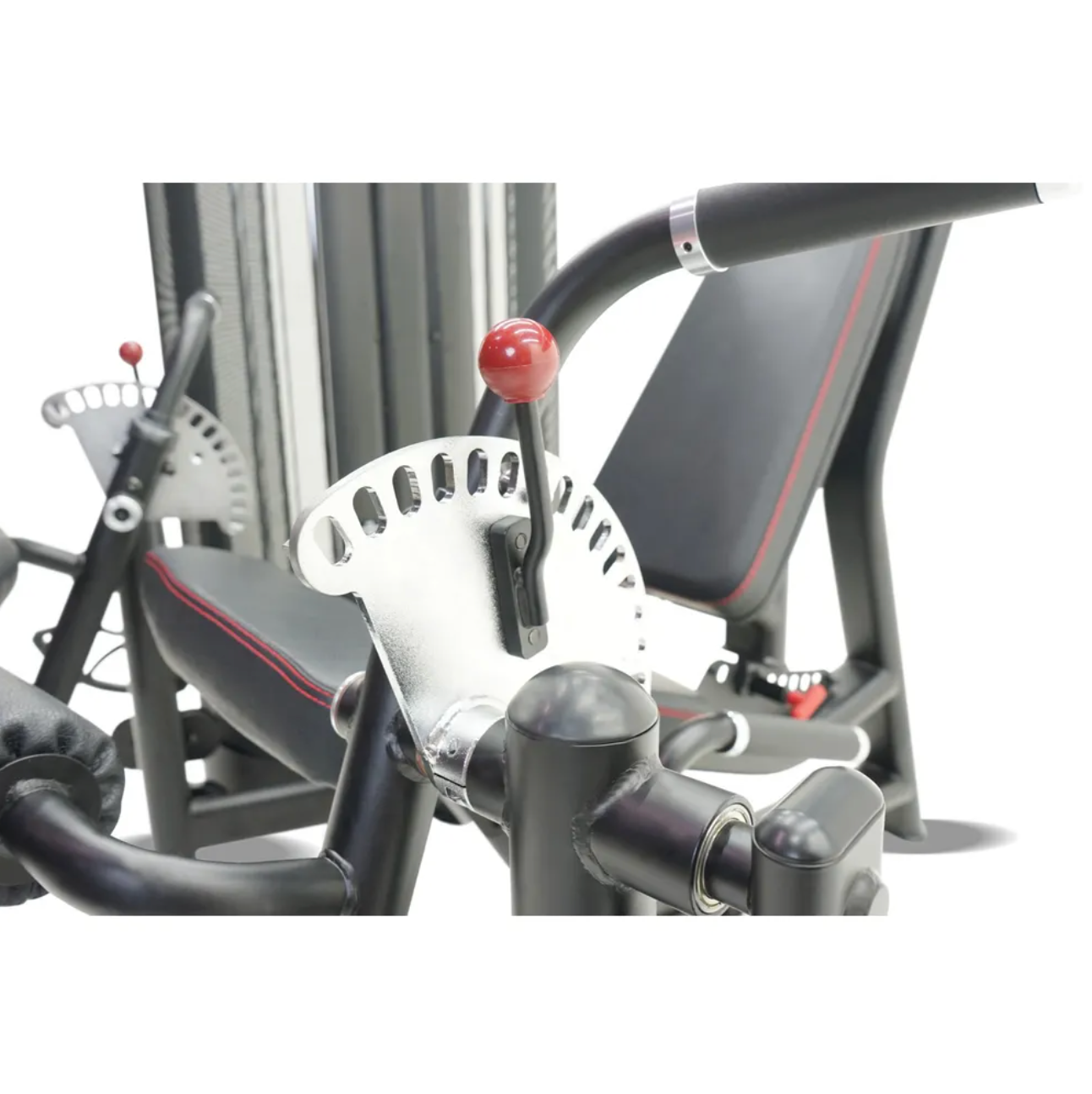 Extension/Curl double jambe commerciale Inspire Fitness, 2x100 - Fitness Dépôt +