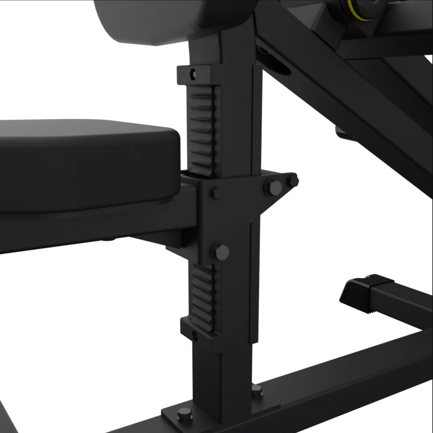 IRONAX XC - Appareil biceps/triceps BT - Fitness Dépôt +