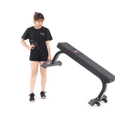 Home Gym Equipment Fitness Bench AL-3021 - Fitness Dépôt +